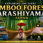 Exploring the Giant Bamboo Forests of Arashiyama, Japan Arashiyama Bamboo Forest Japan